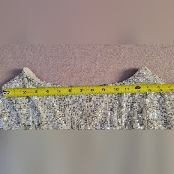 Z SUPPLY Sequin Mini Dress Size M Silver Lined NWT Style ZD234255S RN135090 - Picture 7 of 11